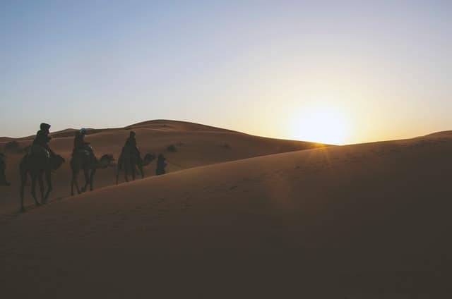 People riding camels among the sand dunes of Egypt while the sun is setting.