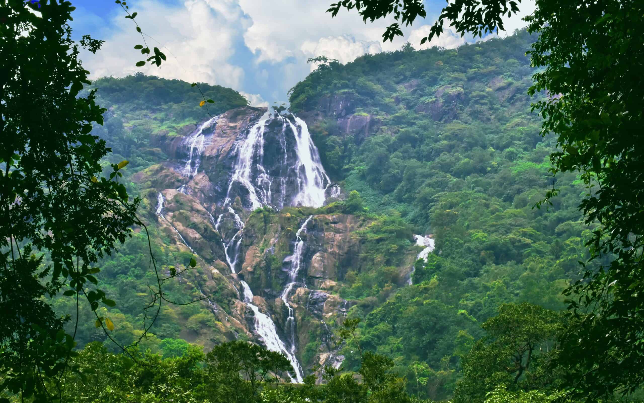 milky, white sea cascades down the mountain of this unique and stunning waterfall in India.